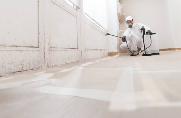 24/7 Emergency Mold Remediation experts in Dublin, TX